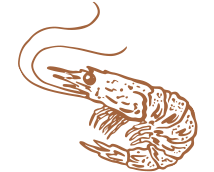 O Resto Solenzara - restaurant SARI-SOLENZARA